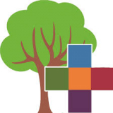 FV Realschule plus Friesenheim